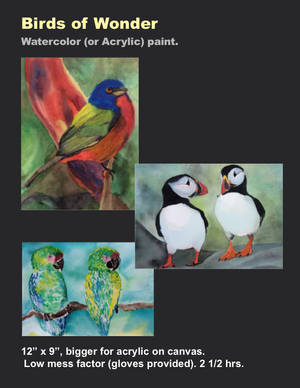 Drawing and painting basic birds in watercolor or acrylic.