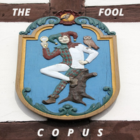 The Fool by Copus