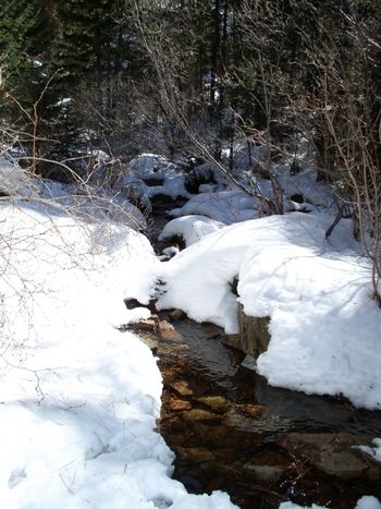 Creek on the Seven Bridges Trail, Pikes Peak
