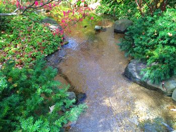 Japanese Water Garden Borderline cliche...but here it is.
