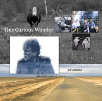 This Curious Wonder: CD (Physical CD)