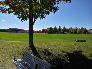 Photo of School & Sports Field