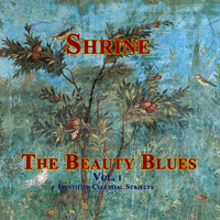 The Beauty Blues Vol.1 Identified Celestial Subjects by Roman Rhodes & Shrine