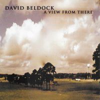 A View From There by David Beldock