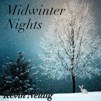 Midwinter Nights by Kevin Neidig