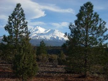 Mount Shasta Grandeur - Our Backyard
