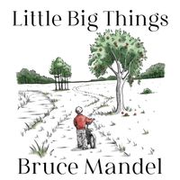 Little Big Things (FLAC) by Bruce Mandel