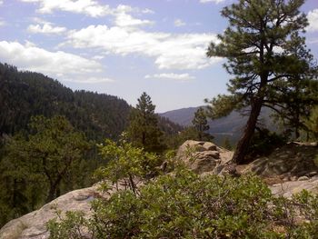 Hiking on the Vallecito Creek Trail looking towards Bayfield, CO.
