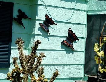 Giant Metal Butterflies #7, High Plains USA
