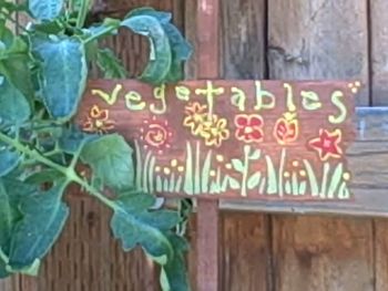 My homemade Vegi sign for our vegetable planter
