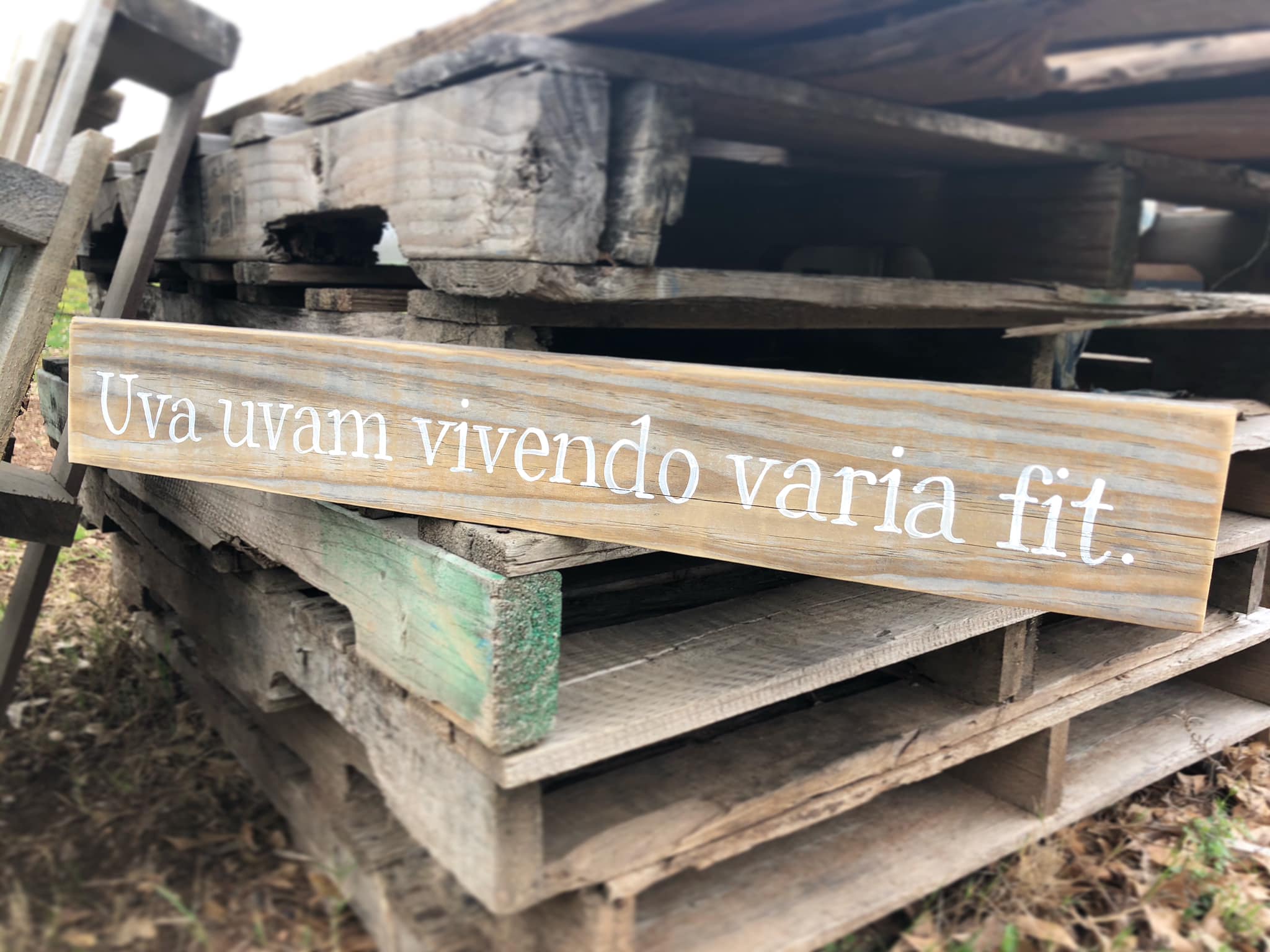Lonesome Dove Latin Quote Lonesome Dove Latin Reclaimed Wood Sign - Apple Valley Farm