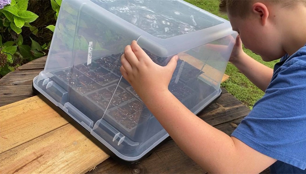 Turn a Storage Bin Into A Mini Greenhouse