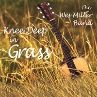 Knee Deep in Grass by Wes Miller