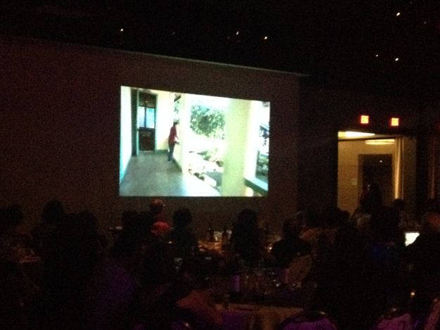 DJOAD Video projection screen