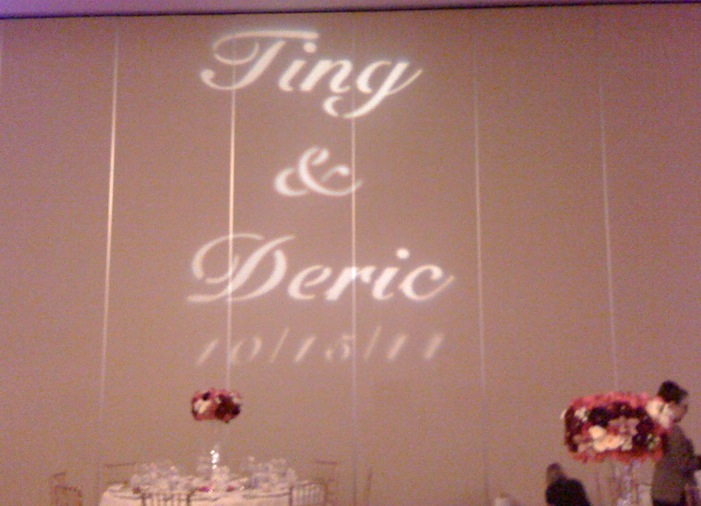 Ting and Deric Custom Gobo