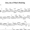 "Jesu, Joy of Man's Desiring"