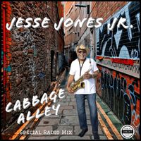 Cabbage Alley Radio Edit by Jesse Jones Jr.