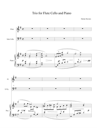 Trio for Flute Cello and Piano︱Darian Stavans