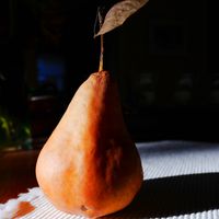 "Pear 1". 8" x 8", photographic print on metal