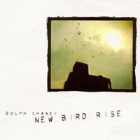 New Bird Rise by Dolph Chaney