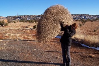 attack of the tumbleweed
