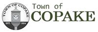 the REVERBERATORS at Town of Copake