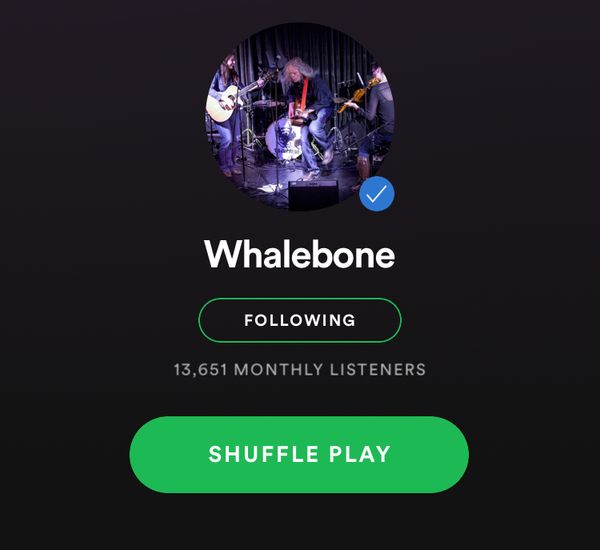 Whalebone on Spotify - listen, stream, follow, save :)