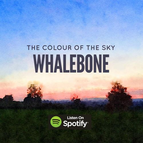 The Colour of the Sky - Whalebone