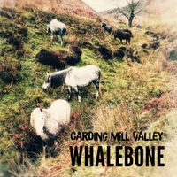Carding Mill Valley by Whalebone