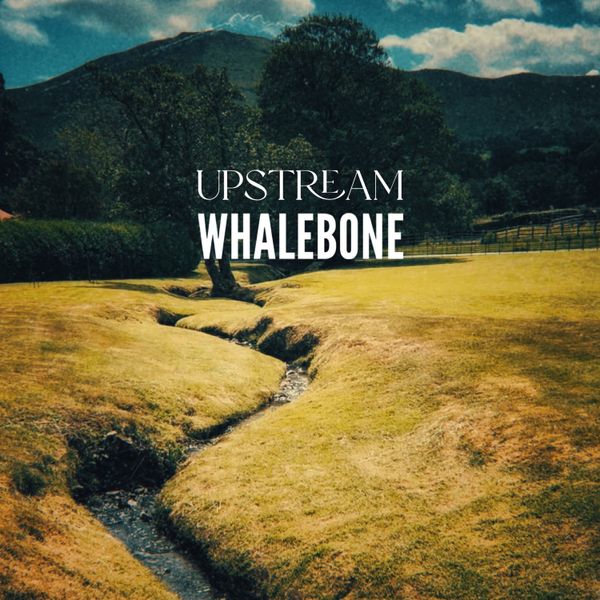 Upstream - Whalebone