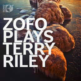 zofo plays terry riley