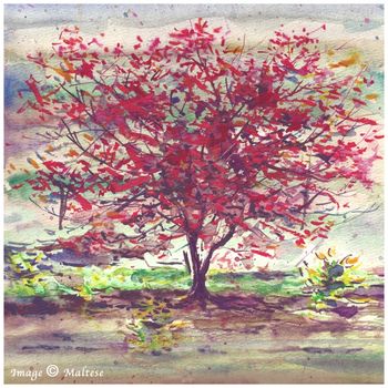 RED TREE By Maltese
