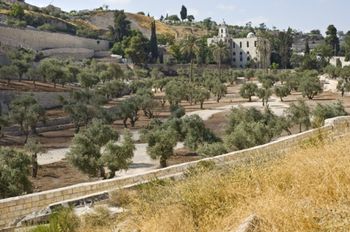 MOUNT OF OLIVES IN JERUSALEM
