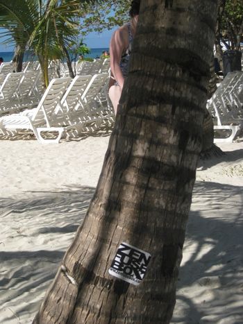 One of our ZFB stickers posted on a palm tree in Roatan, Honduras
