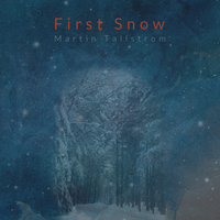 First Snow by Martin Tallstrom