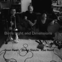 Birds Light and Dimensions by Blaise Siwula, Sean Reed & Kae Reed