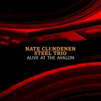 Steel Trio Alive at the Avalon by Nate Clendenen