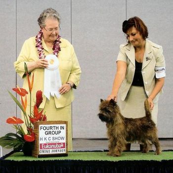 Champion "Tipper" Nakoa All About Scotch group 3 at HKC Sept 2011 show. Judge Virginia Lynne.

