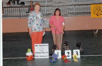Tia, Halle and Molly get 1st, 2nd, and 3rd in Rally Advance A. They have all completed their Rally Advance Titles. Yes, that's off-leash folks! Our cairns love Rally as they can be told what wonderful dogs they are during the performance.

