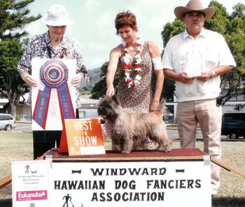 Cash wins his third BIS going back-toback at WHDFA October 3 2010. Handled by breeder/owner/handler Suzee Bidegain... thanks Suzee and we sure had a great vacation together huh! Thanks to judge Mr. Connolly.

