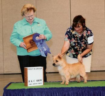 Candy wins a group 1 out of the puppy classes March 2008 at 10 months old, under judge Judy Webb. A wonderful day for handler Lisa and co-owner Judy Pang and her mommy Judy McDuffy! She also got a 3-pt major by going BOB that day.
