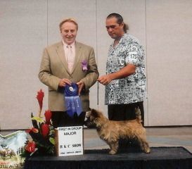 Hawaiian Kennel Club, August 2009 Cash (Yellowbrickroad Wring of Fire) gets a 5 point major group win! Judge Keith George Brown of New Zealand.
