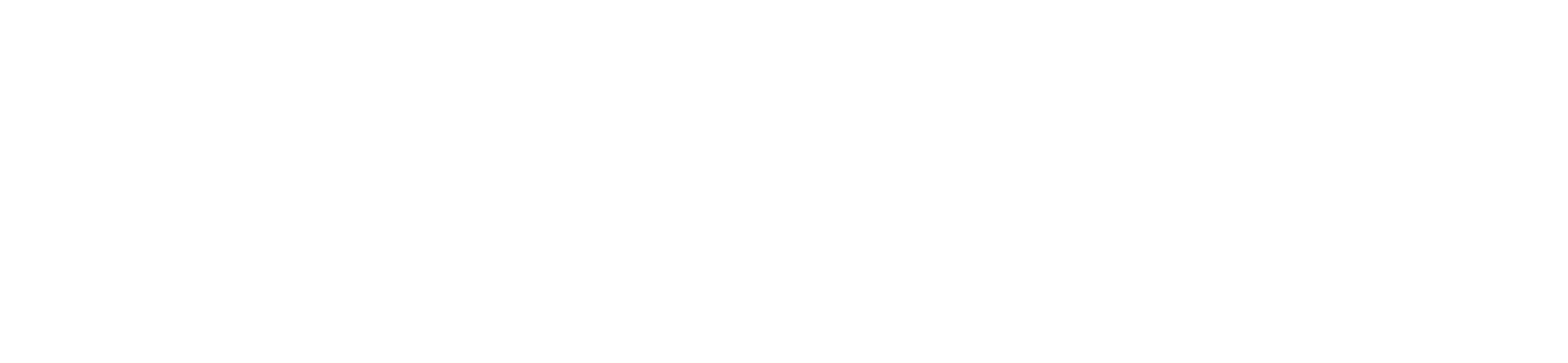 The Western Swing Authority