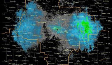 Blue-doppler-images-of-migrating-monarch-butterflies