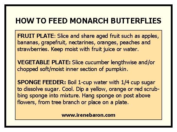 RECIPES-TO-FEED-MONARCH-BUTTERFLIES-www.irenebaron.com