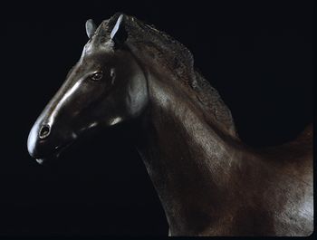 Horse In Motion 2 Bronze Sculpture
