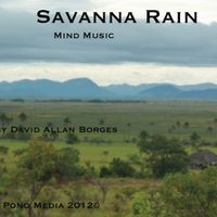 Savanna Rain by David Allan Borges