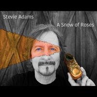 A Snow Of Roses by Stevie Adams