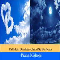 Dil Mein Dhadkan ( Hindi ) by Prana Kishore Bommireddipalli,Keerthana,Sitara