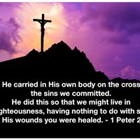 I Peter 2:24 by biblesinger.com